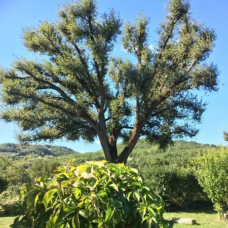 Casale Eredita * Orte